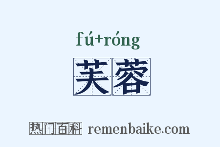 芙蓉是什么意思的图片